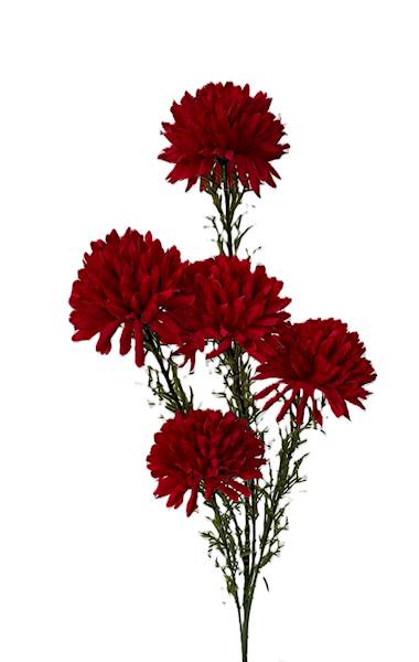 Gałązka kwiatowa x5, Q5