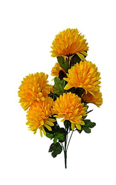 Bukiet chryzantem x9 QB25