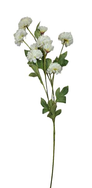 Gałązka kwitnąca, DG10