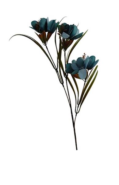 Dalia na łodydze, DG4