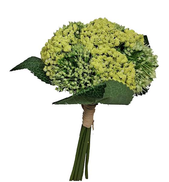 Czosnek -  bukiet, K526