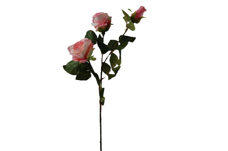 Róża na gałązce, DG6