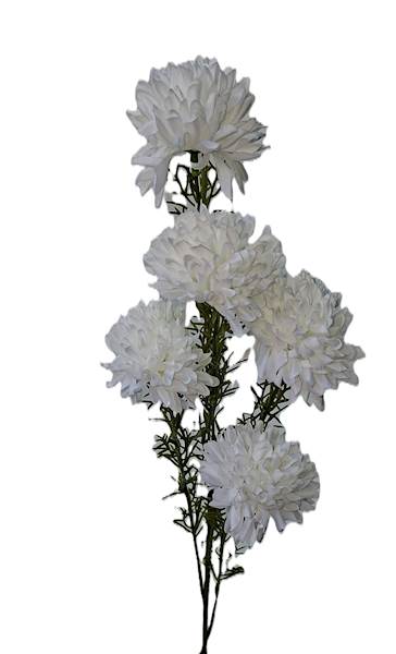 Gałązka kwiatowa x5, Q5