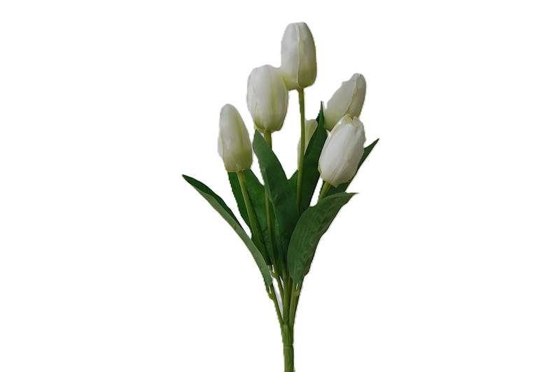 Bukiet tulipanów x7, FD31