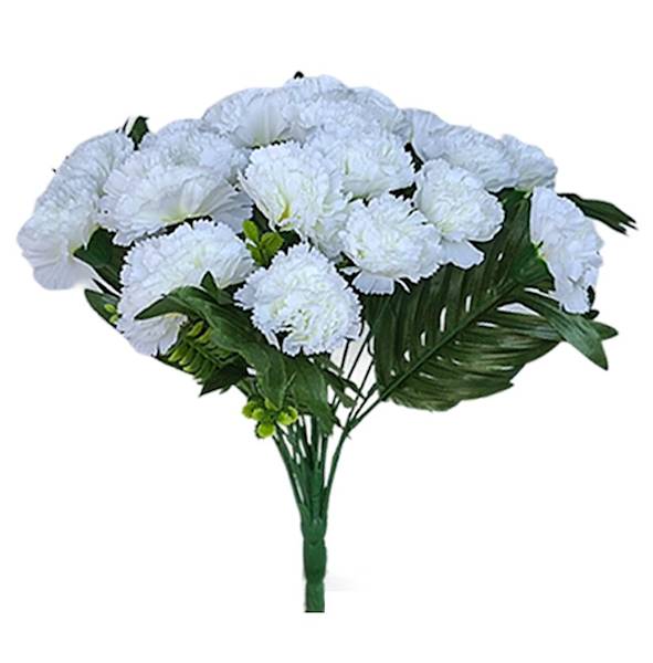 Bukiet goździków x24 QB28