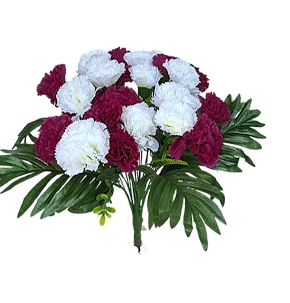 Bukiet goździków x24 QB28