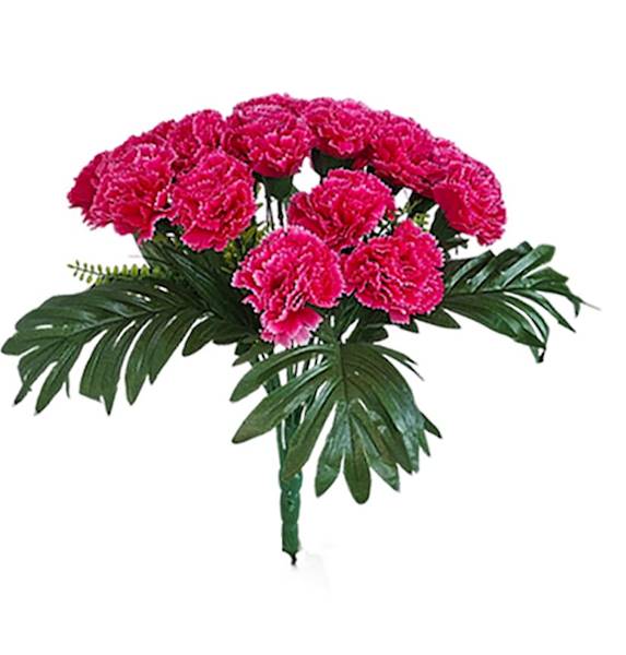 Bukiet goździków x24 QB28