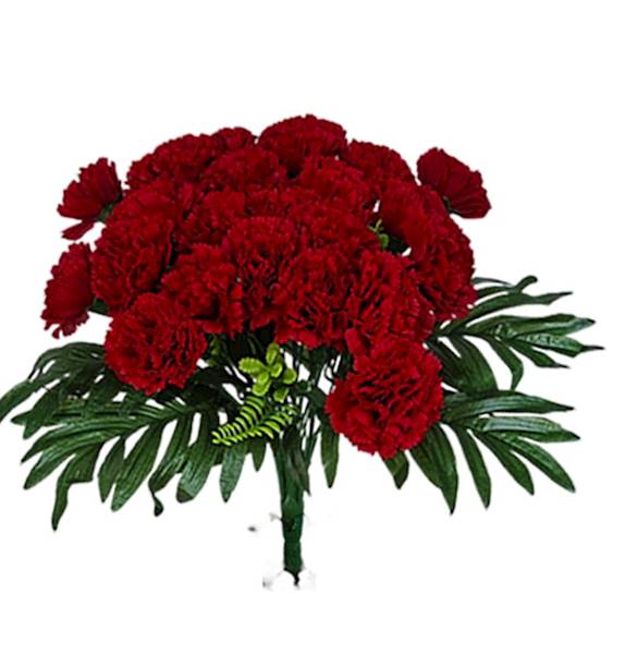 Bukiet goździków x24 QB28