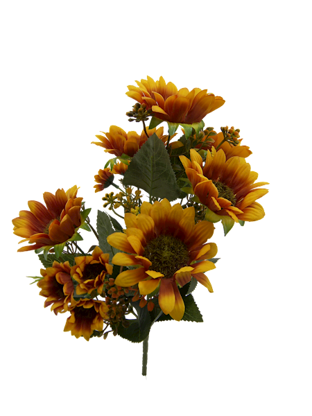 Bukiet słoneczników x10 QB24