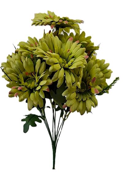 Bukiet gerber x9, QB19