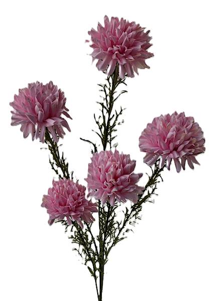 Gałązka kwiatowa x5, Q5