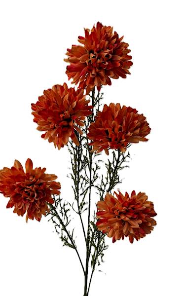 Gałązka kwiatowa x5, Q5