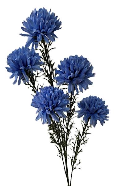 Gałązka kwiatowa x5, Q5