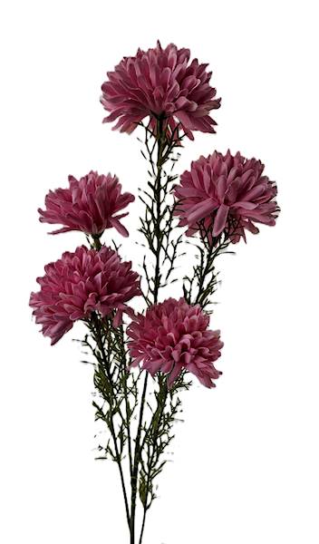 Gałązka kwiatowa x5, Q5