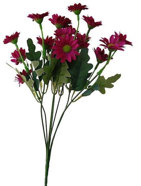 Bukiet margerytka x7 QB9