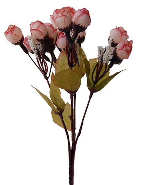 Bukiet kamelka A, x5 QB2