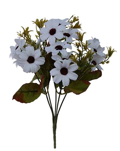 Bukiet margerytka x5 QB6