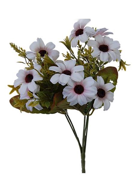 Bukiet margerytka x5 QB6