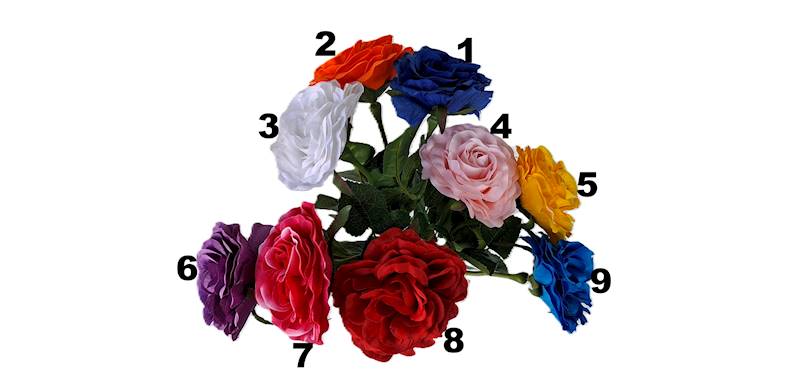 Róża na łodydze Q3