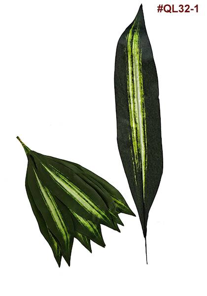 Liść Draceny QL32