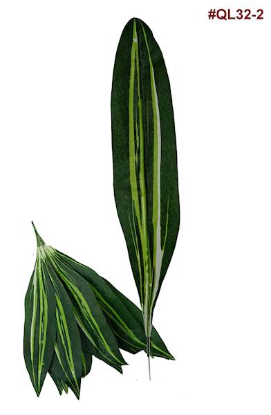 Liść Draceny QL32