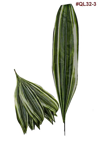 Liść Draceny QL32