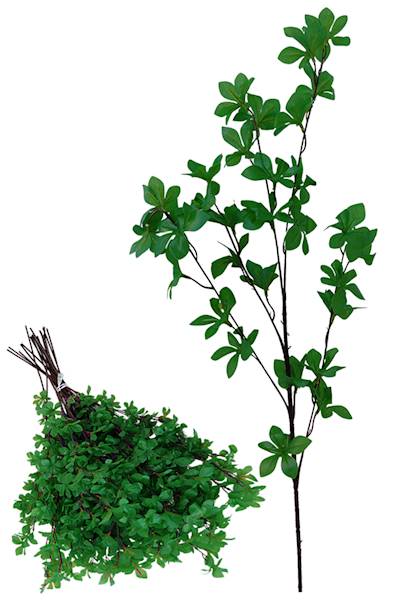 Gałązka zielona, QL19