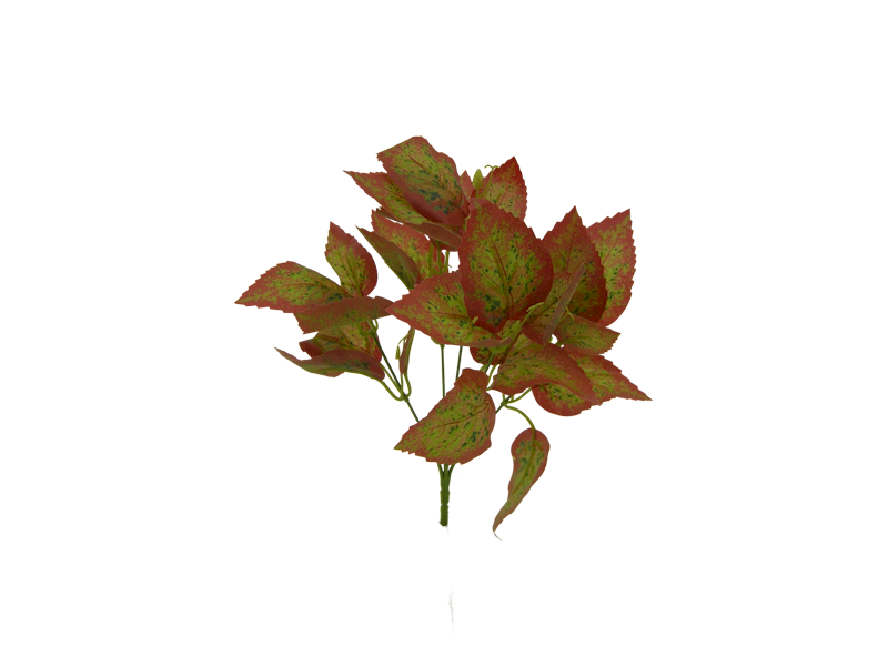 Liść  bukiet x5 QL16