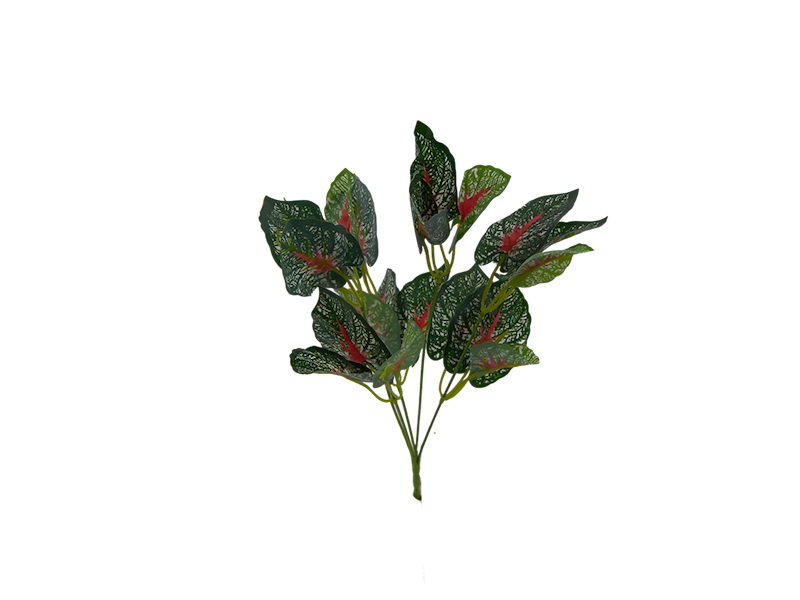 Liść bukiet x5 QL15