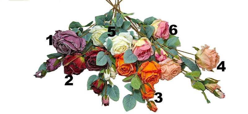 Róża na gałązce, DG11