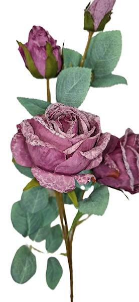 Róża na gałązce, DG11