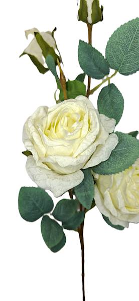 Róża na gałązce, DG11