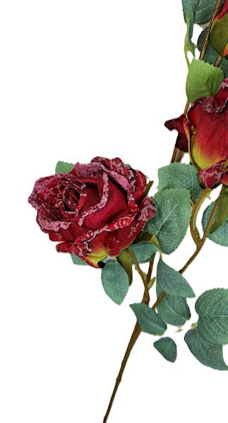 Róża na gałązce, DG11