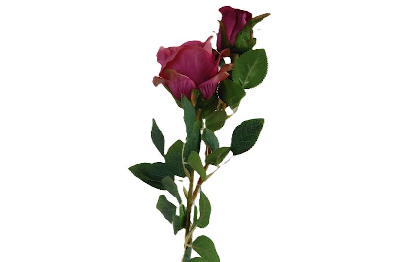 Róża na gałązce, DG9