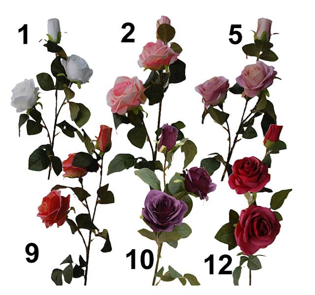 Róża na gałązce, DG6