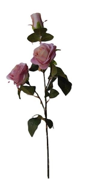 Róża na gałązce, DG6