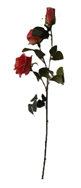 Róża na gałązce, DG6