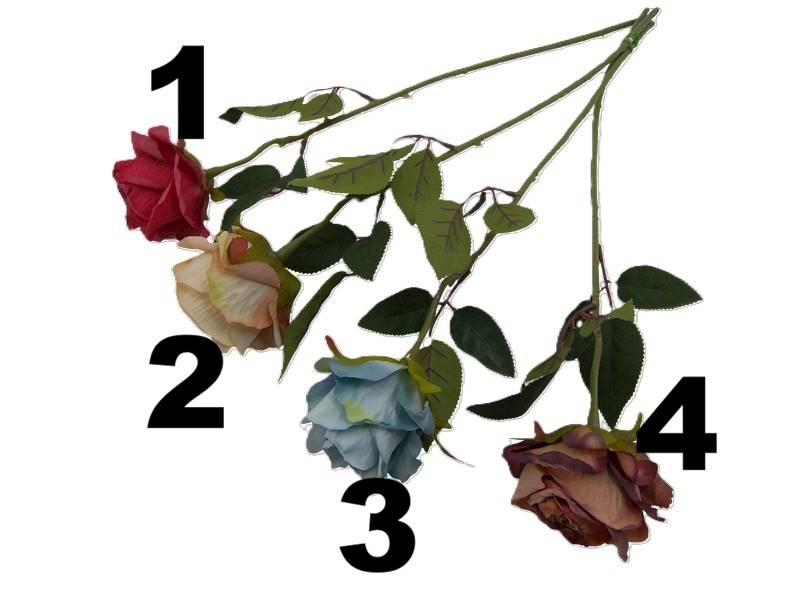 Róża na łodydze, DG8