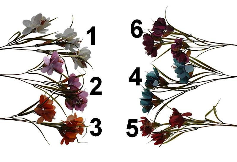 Dalia na łodydze, DG4