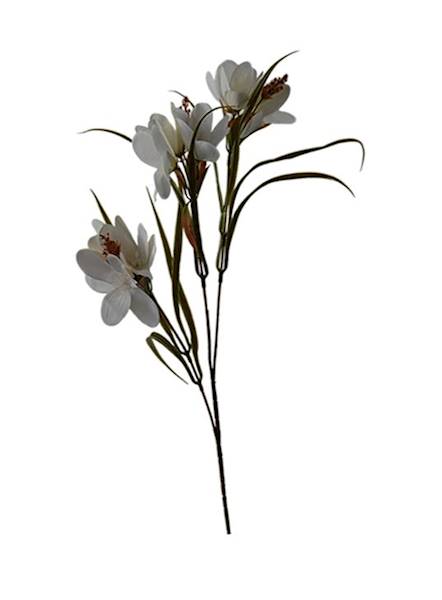 Dalia na łodydze, DG4