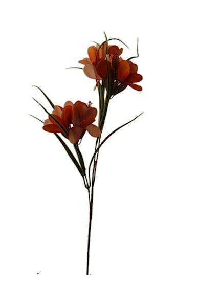 Dalia na łodydze, DG4