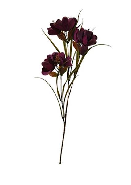 Dalia na łodydze, DG4