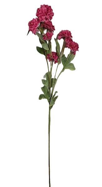 Gałązka kwitnąca, DG10