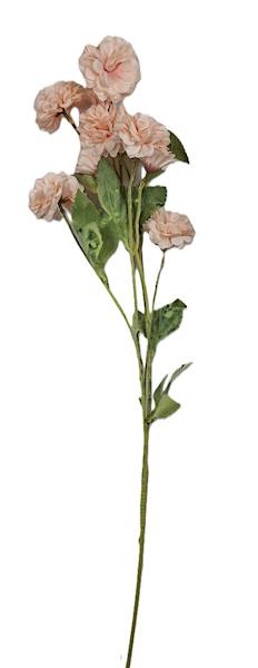 Gałązka kwitnąca, DG10