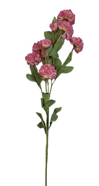 Gałązka kwitnąca, DG10