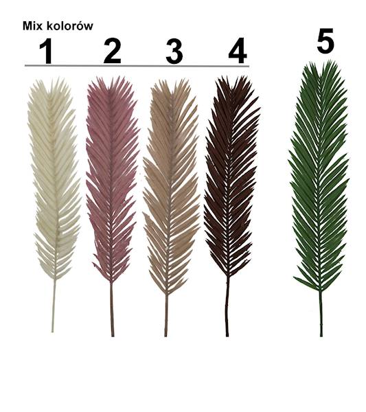 Cykas Flokowany, C595