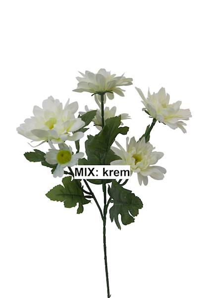 Gałązka koreanek, W234343