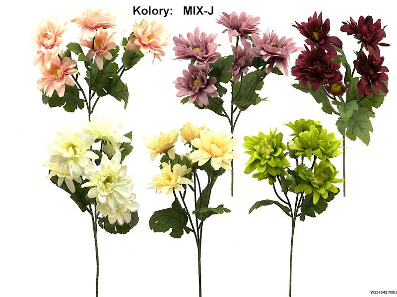 Gałązka koreanek, W234343