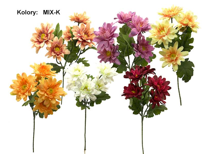 Gałązka koreanek, W234343