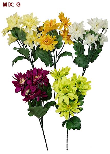 Gałązka koreanek, W234343